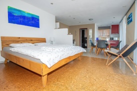 Studio-Apartment
